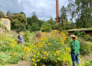 Naturschutzzentrum Ökowerk Berlin e.V.
