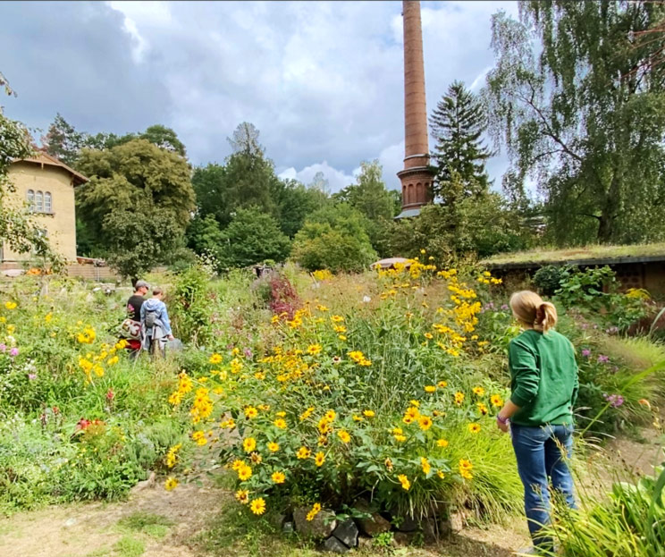 Naturschutzzentrum Ökowerk Berlin e.V.