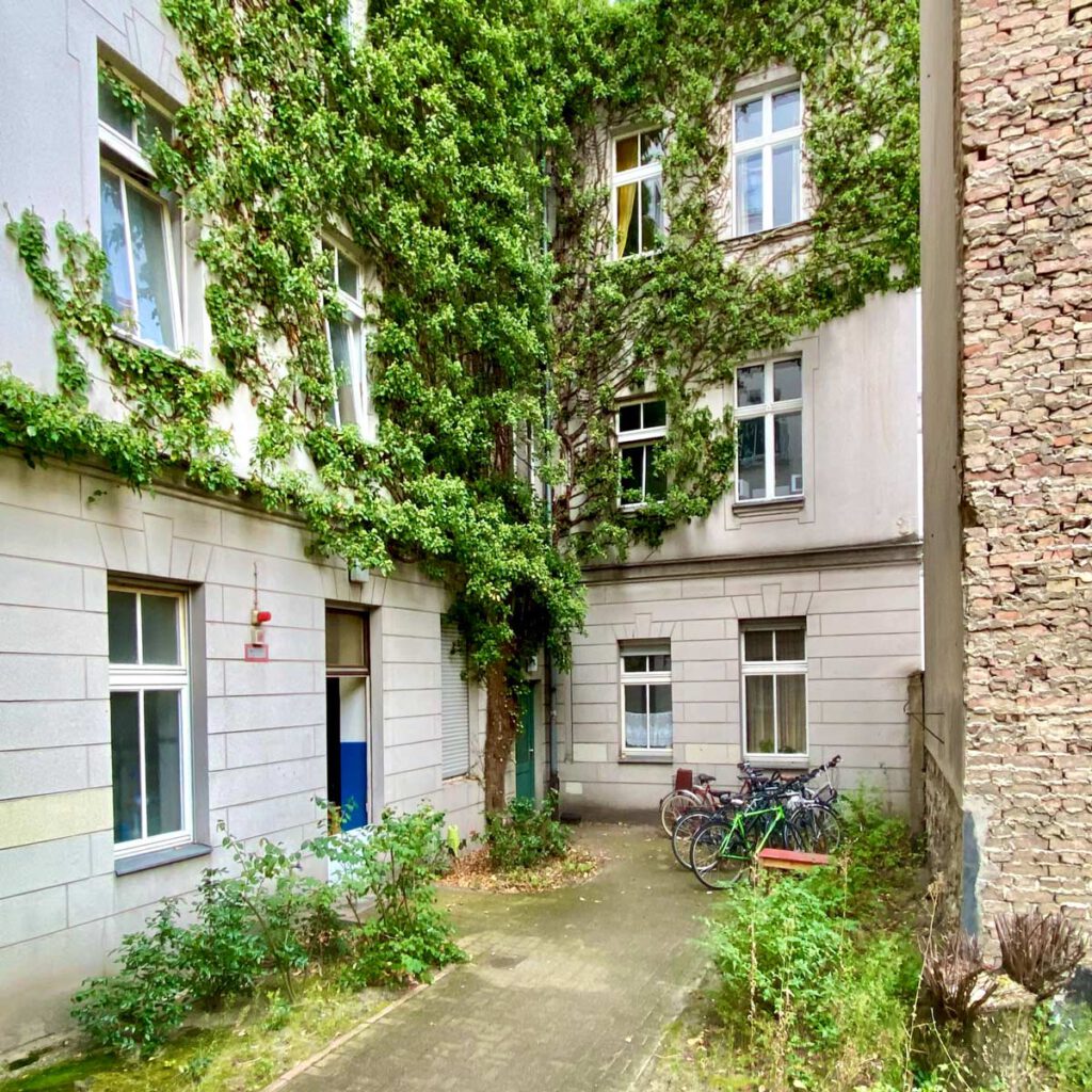 Fassadenbegrünung in einem Charlottenburger Hinterhof