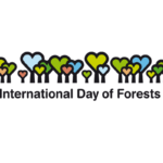 logo-international-day-of-forests